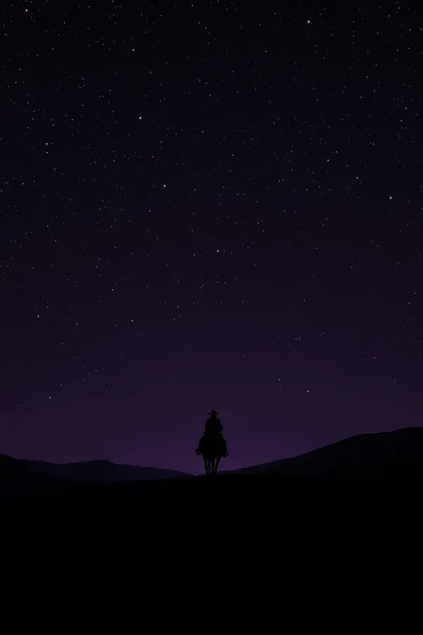 搜索者（The Searchers）电影海报